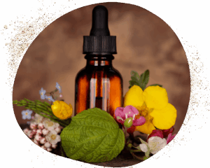 fleurs de Bach pour retrouver vitalité et joie