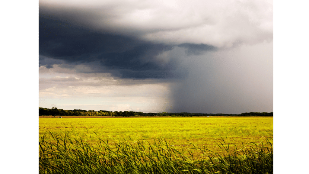 prendre soin de soi pour mieux gérer ses émotions